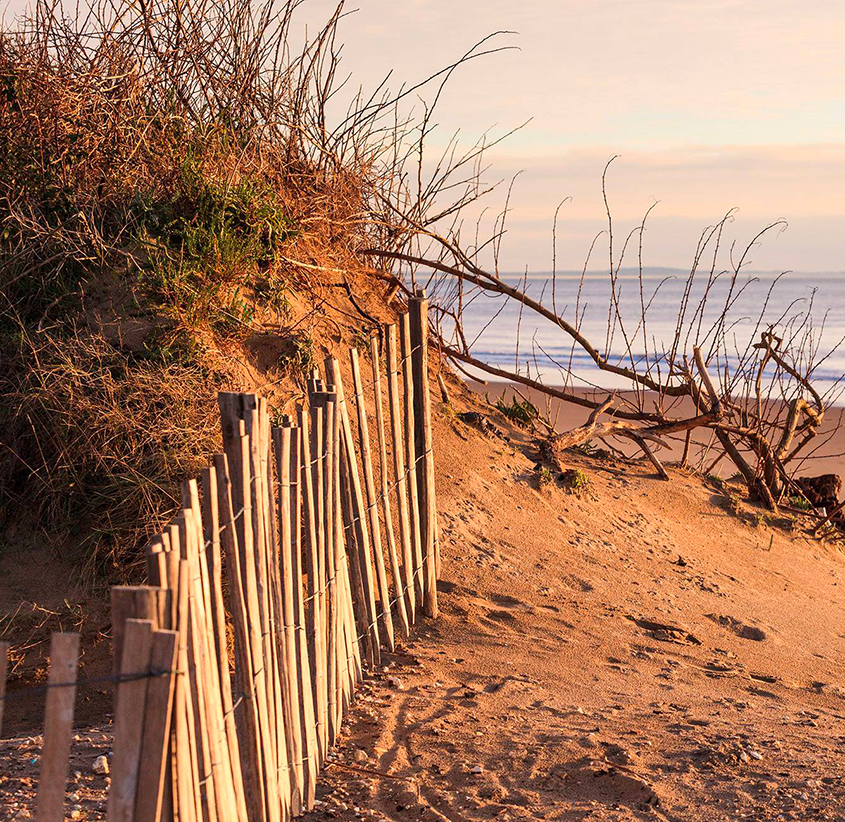 Arcachon plage